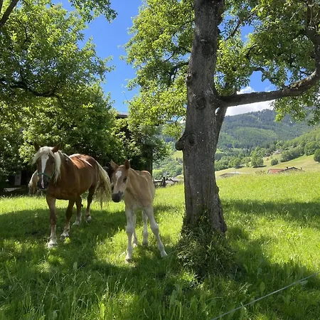 Appartamento Sonnen Kaprun Piesendorf
